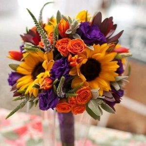 Meet your Posher, Louise